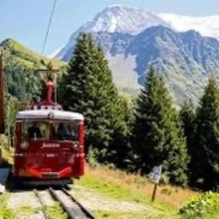 Emeraude, Petit Cocon Proche Des Pistes *